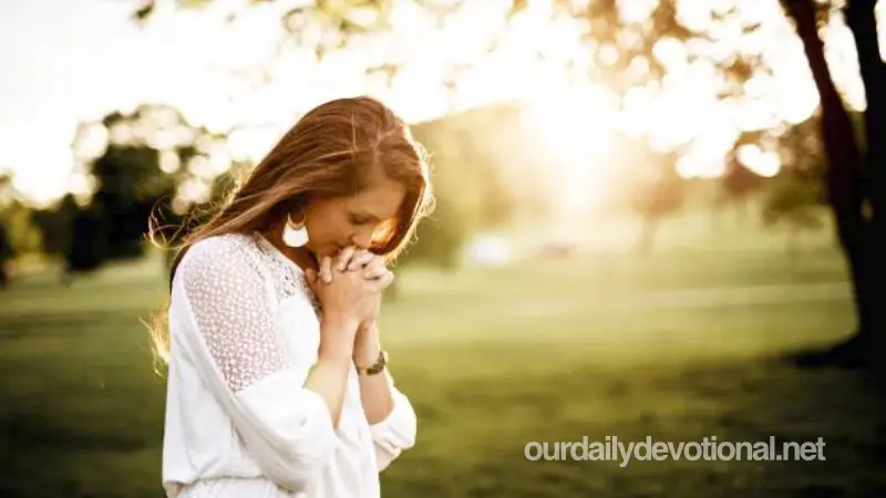 Daily Prayer - Prayer for Divine Blessing and Multiplication