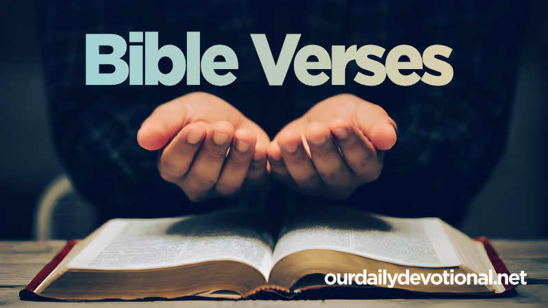 Bible Verses