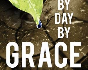 365 Daily Devotions Day by Daay by Graceby Bob Hoekstra speak of grace