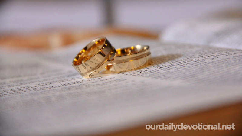 The Marriage Union in the Light of the Bible